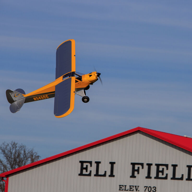 Carbon Cub 15cc ARF, 90"